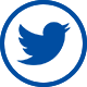  Twitter logotipo Daedo International